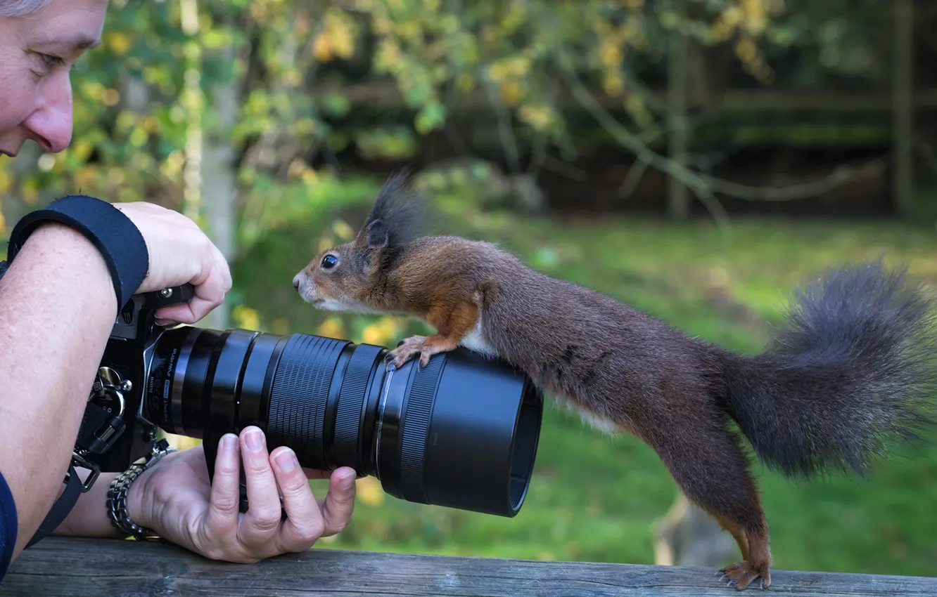 Photo wallpaper the camera, protein, curiosity, photographer