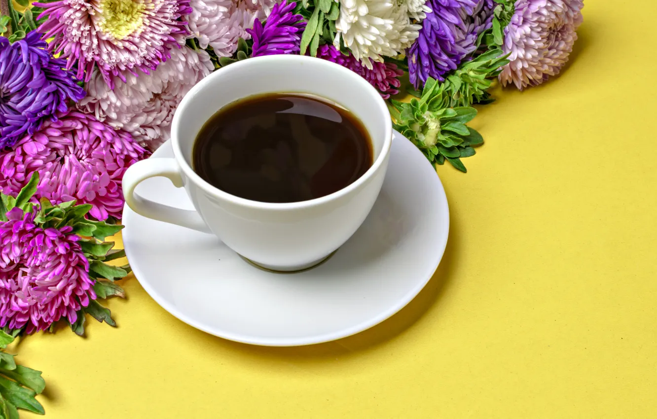Photo wallpaper flowers, coffee, asters