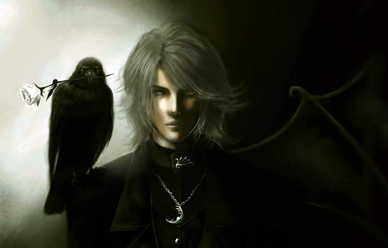 Photo wallpaper roses, wings, guy, Raven, different eyes, heterochromia