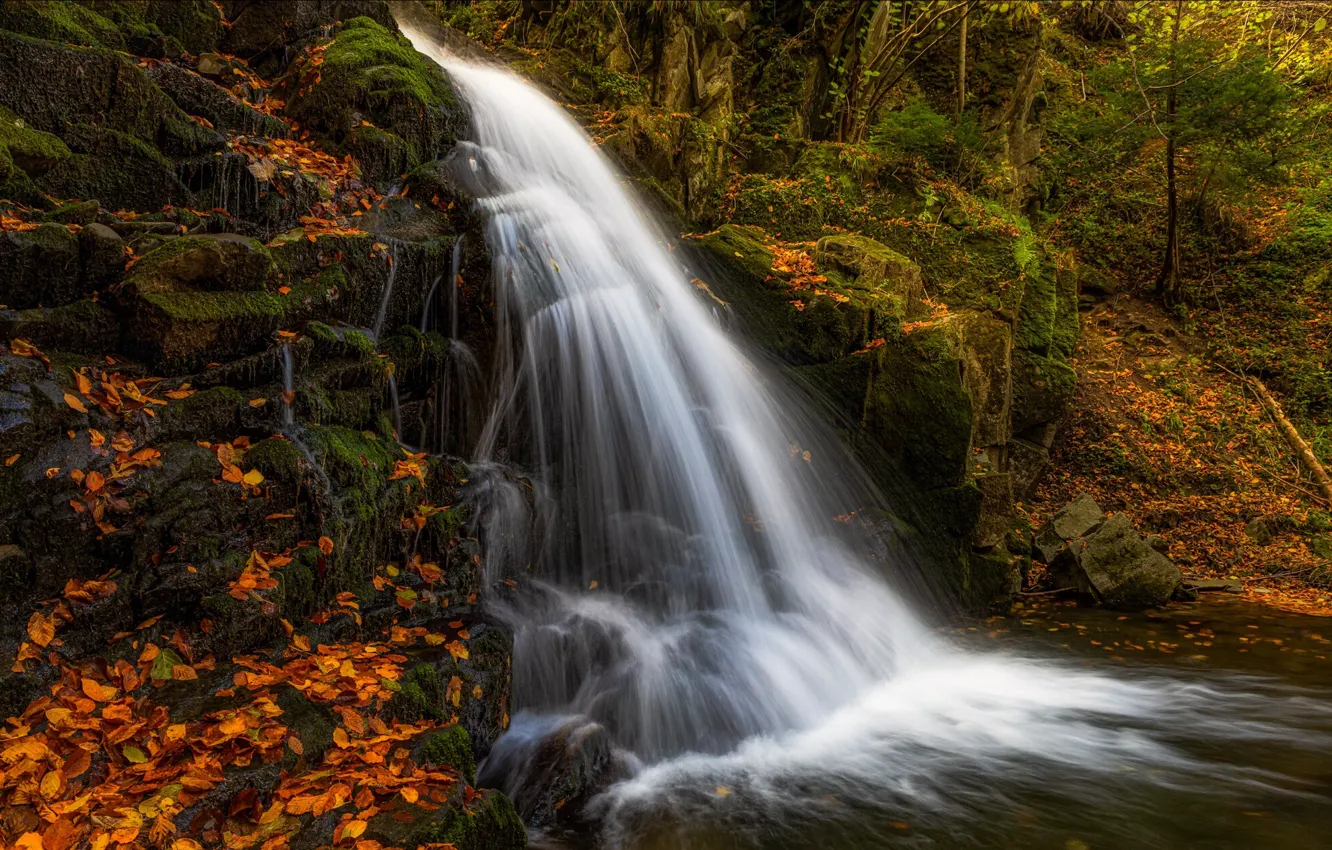 Photo wallpaper autumn, forest, leaves, landscape, nature, stones, waterfall