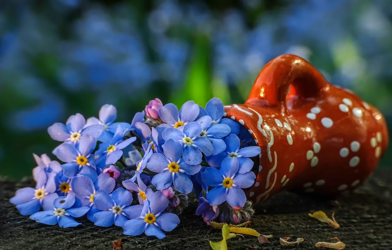Photo wallpaper flowers, blue, bouquet, vase