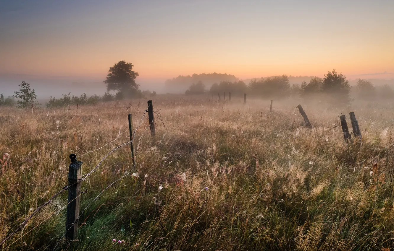 Photo wallpaper field, summer, sunset, fog, the fence