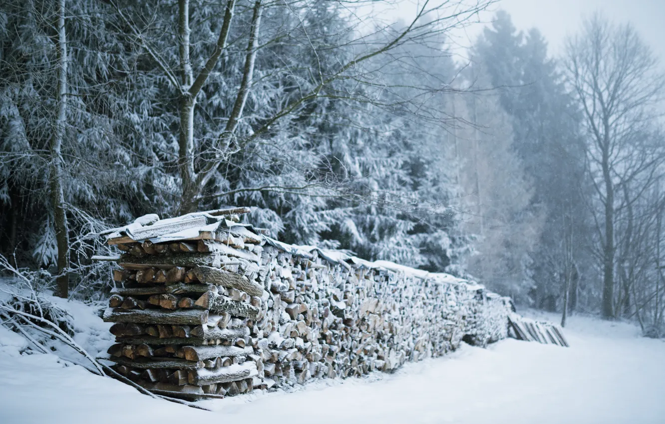 Photo wallpaper winter, snow, wood