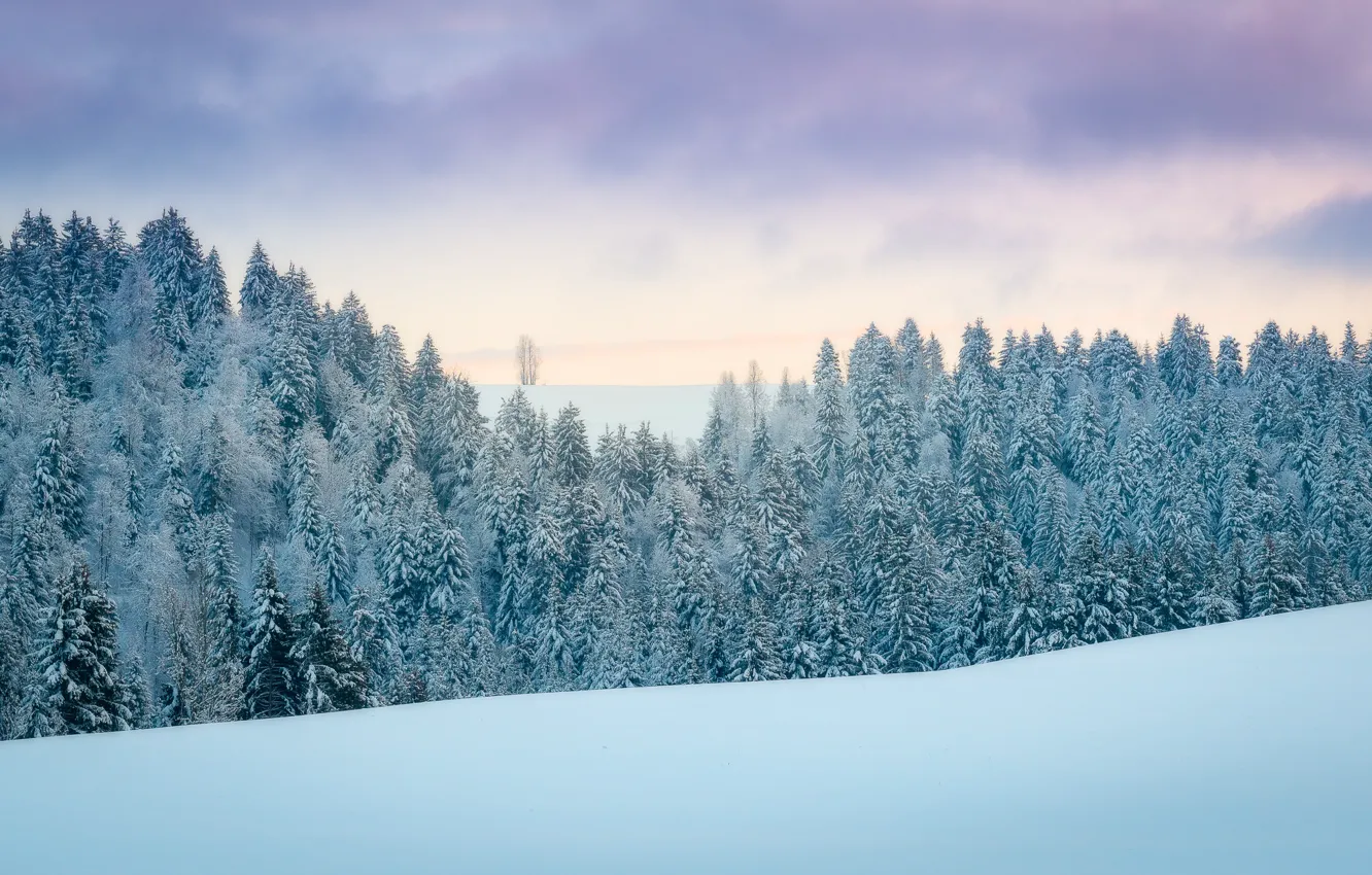 Photo wallpaper winter, frost, forest, the sky, clouds, snow, nature, ate