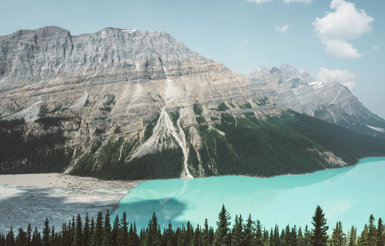 Photo wallpaper sky, sea, nature, wood, clouds, mountain, Andrew Ridley