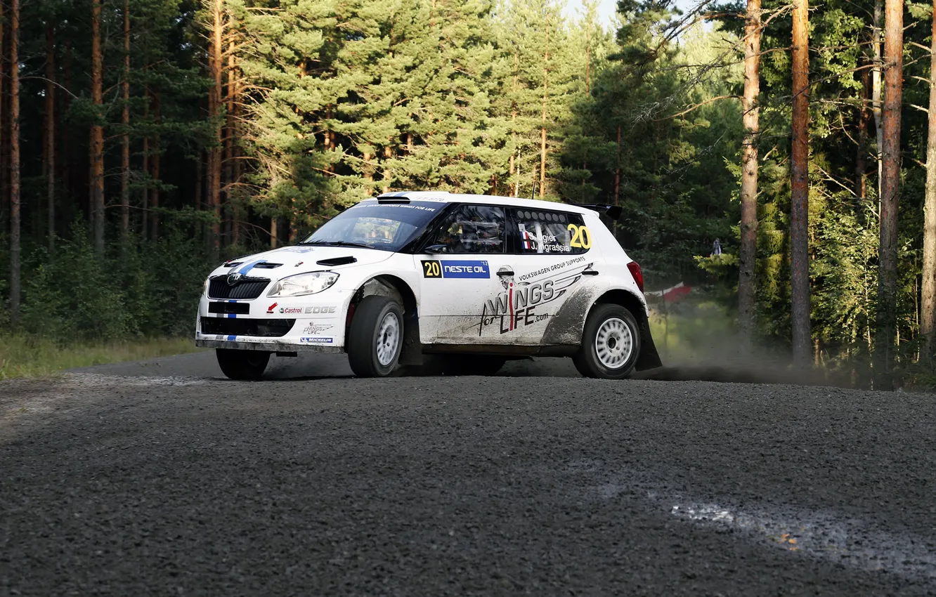 Photo wallpaper machine, auto, forest, white, WRC, Rally, Skoda, Skoda