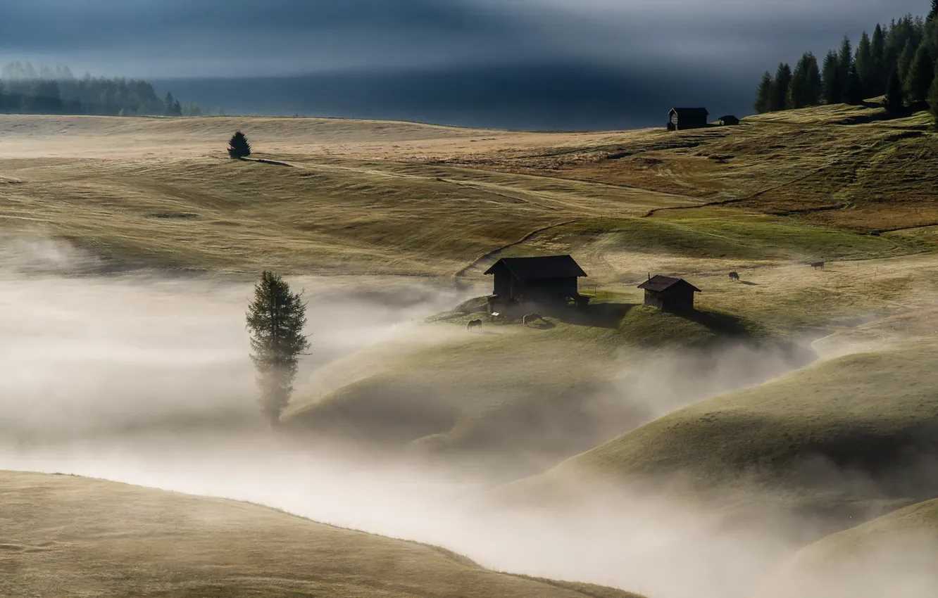Photo wallpaper field, landscape, fog, morning