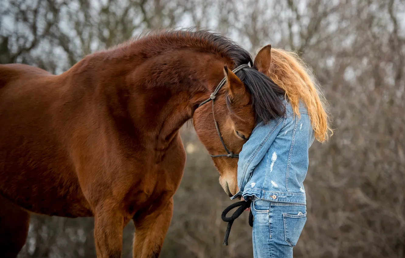 Photo wallpaper forest, girl, branches, nature, pose, horse, kindness, horse