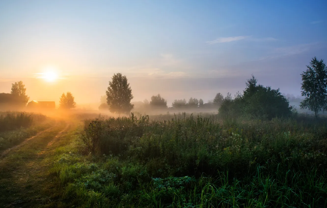 Photo wallpaper road, nature, fog, sunrise, morning