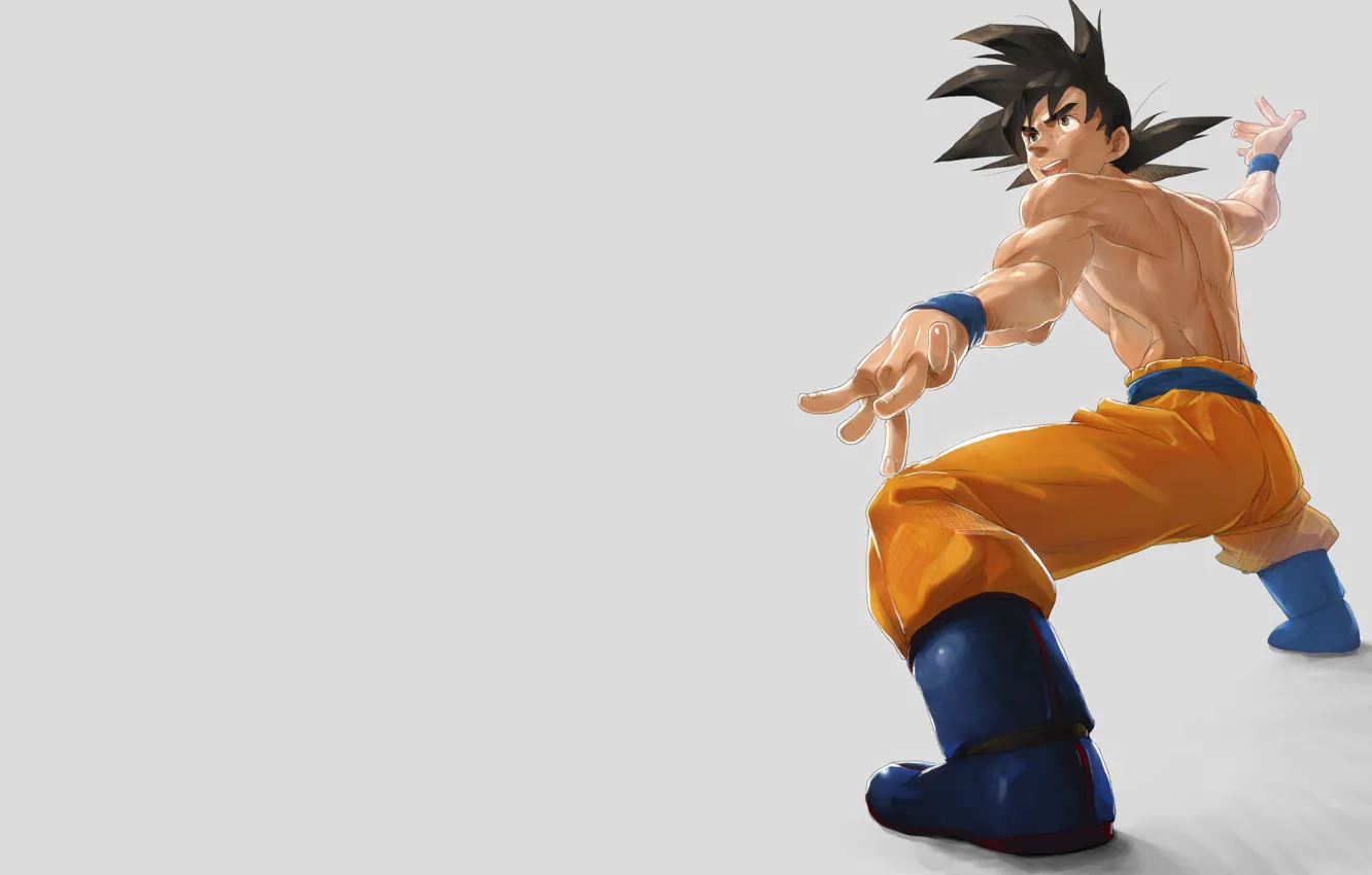 Photo wallpaper minimalism, grey background, Dragon Ball, dragon, son Goku, dragon ball, Dragonball