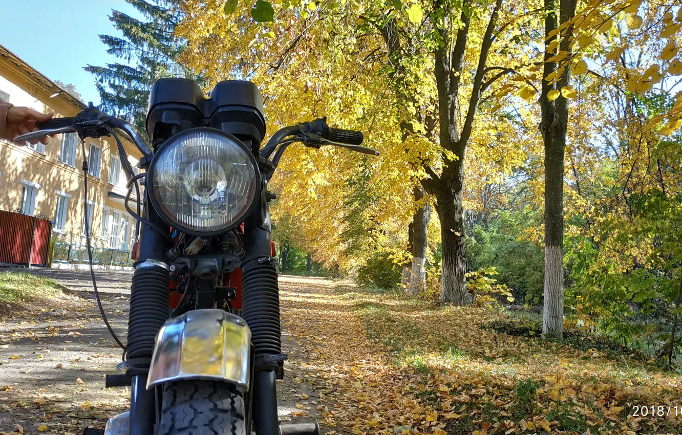 Photo wallpaper autumn, leaves, Moto, Jupiter