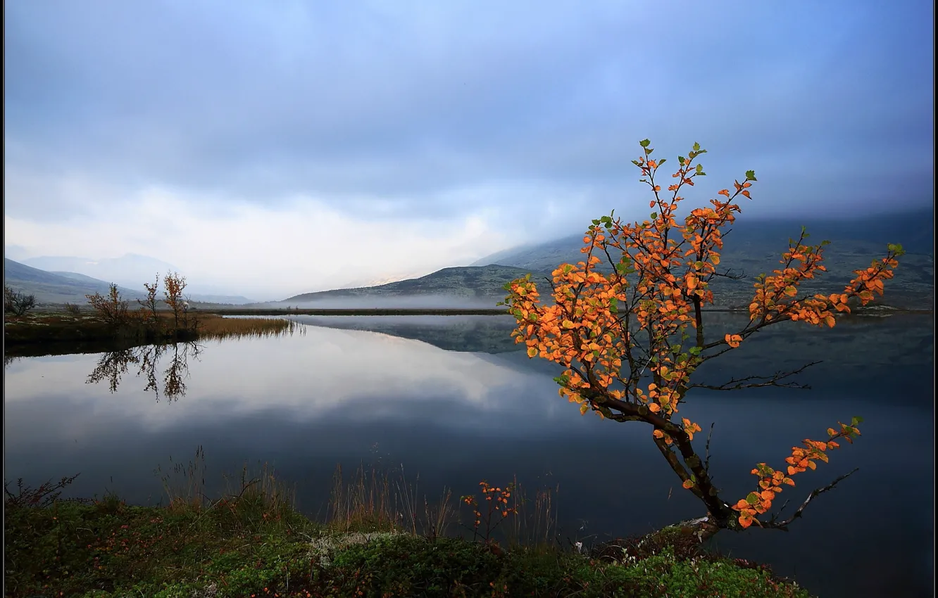 Photo wallpaper autumn, the sky, leaves, trees, lake, surface, reflection, Norway
