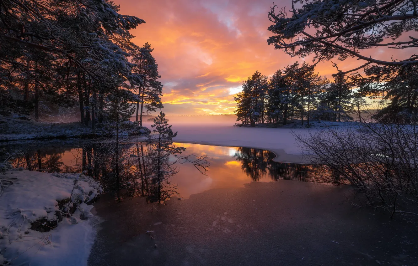 Photo wallpaper trees, sunset, lake, reflection, Norway, Norway, RINGERIKE, Ringerike