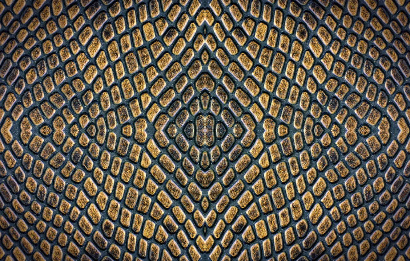 Photo wallpaper symmetry, finish, Under the skin