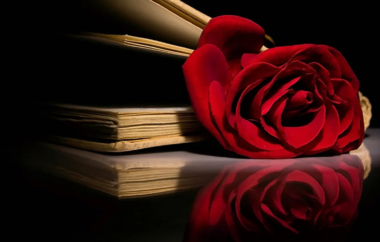 Photo wallpaper fantasy, flower, interior