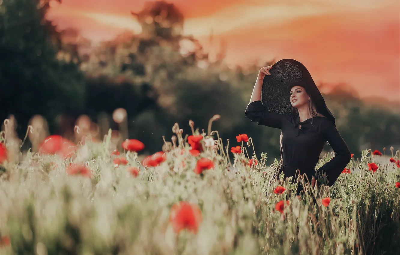 Photo wallpaper field, girl, flowers, nature, pose, Maki, hat