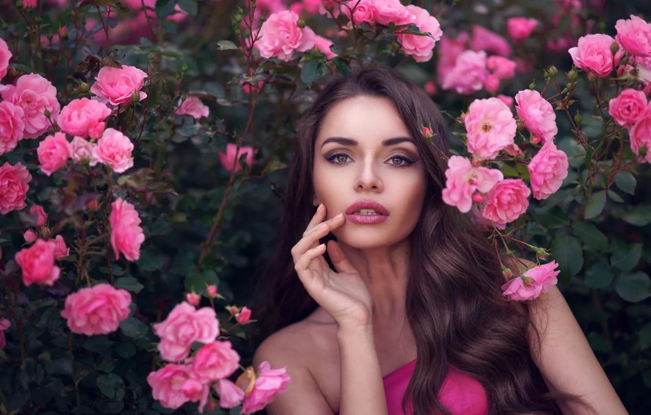 Photo wallpaper girl, flowers, roses, makeup, brunette, hairstyle, beauty, the bushes
