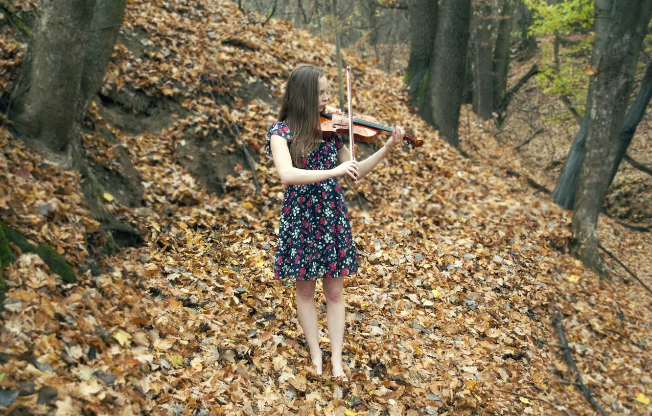 Photo wallpaper autumn, girl, music, violin