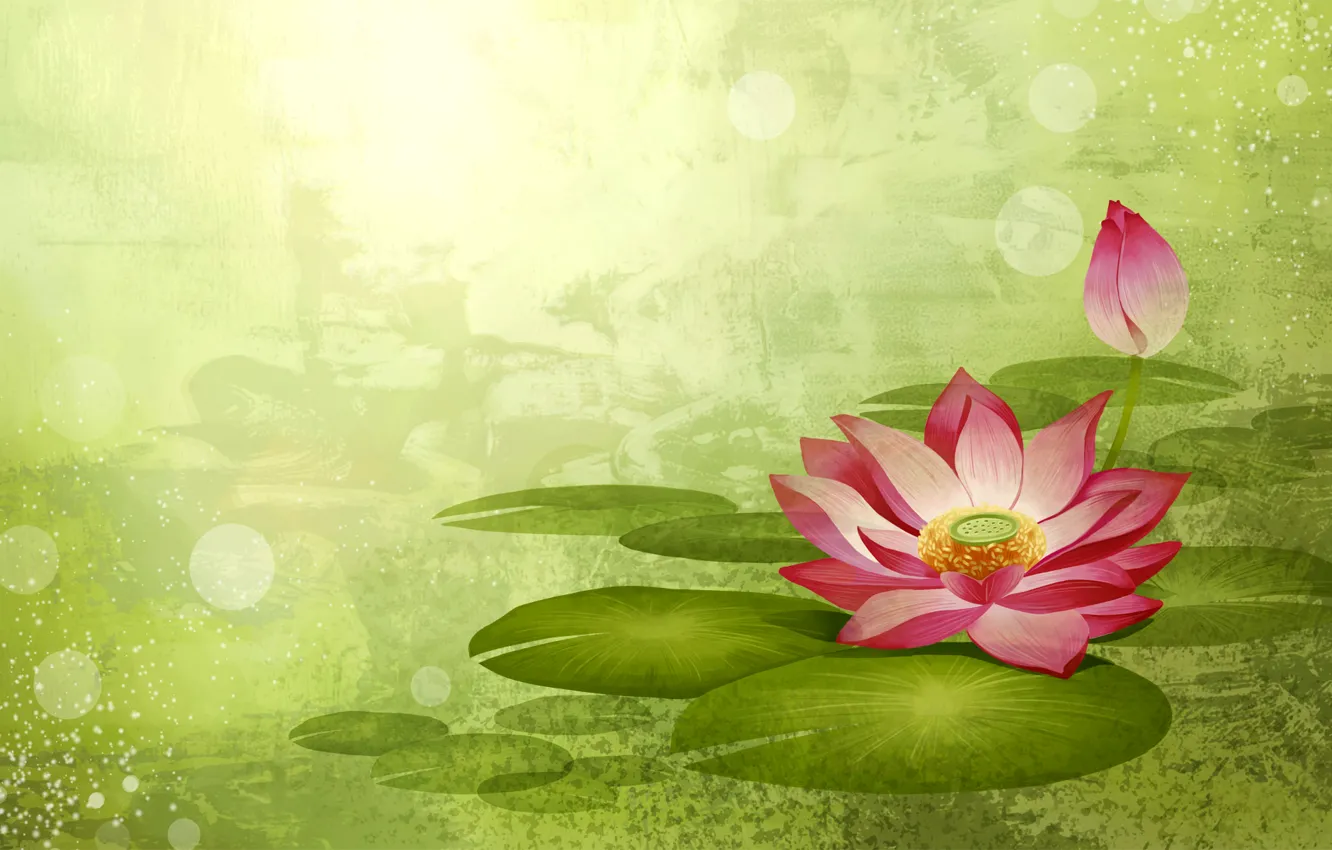 Photo wallpaper flowers, paint, vector, petals, Lotus