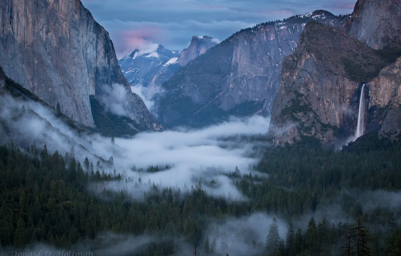 Photo wallpaper the sky, trees, mountains, nature, fog, rocks, USA, USA
