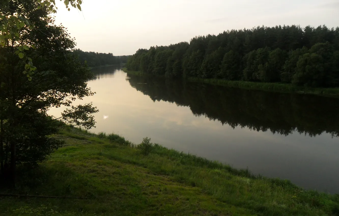 Photo wallpaper forest, nature, river, the evening, Belarus, Vilia