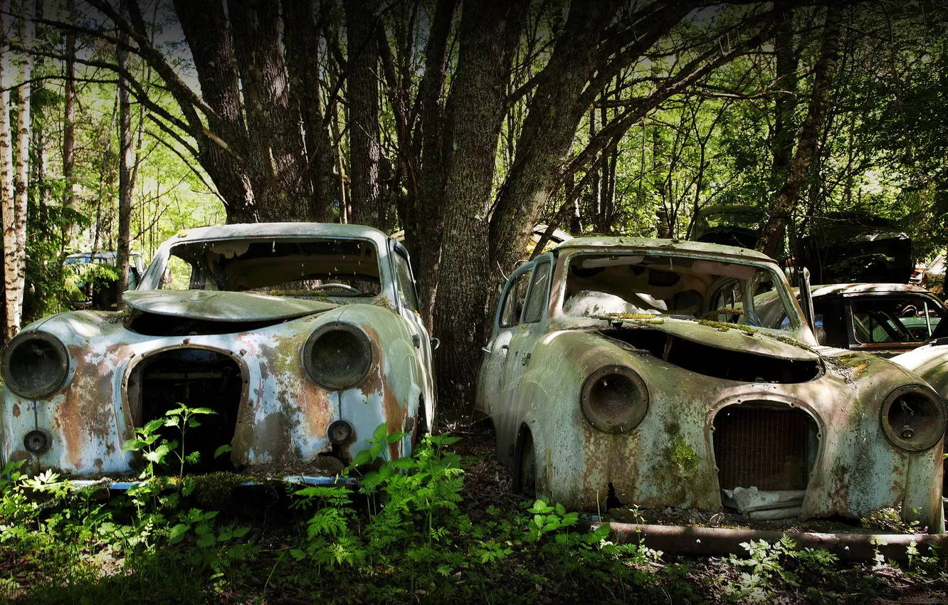 Photo wallpaper machine, dump, scrap