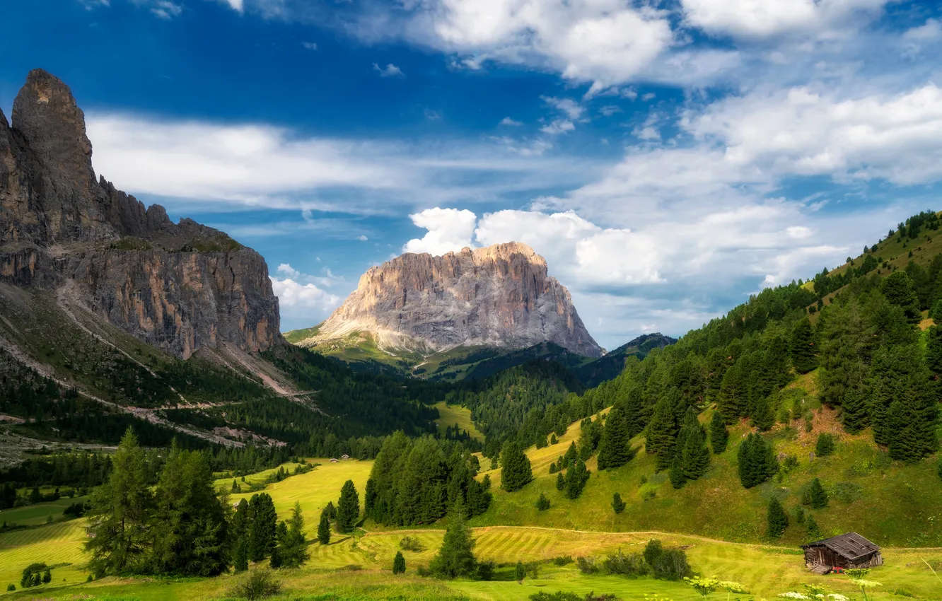 Photo wallpaper forest, the sky, clouds, mountains, blue, tops, house