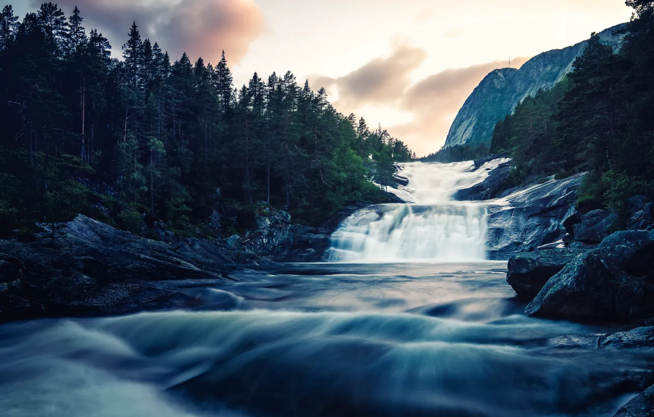 Photo wallpaper forest, mountains, river
