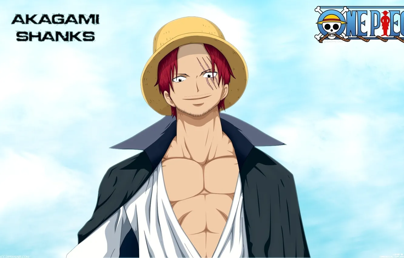 Photo wallpaper sake, game, One Piece, sky, red hair, pirate, hat, smile