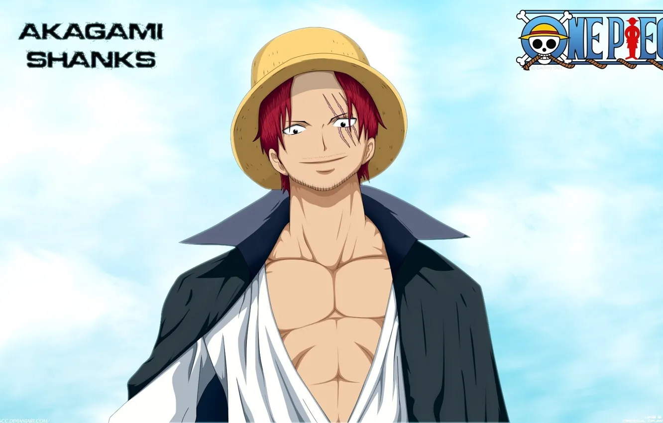 Photo wallpaper sake, game, One Piece, sky, pirate, hat, smile, anime