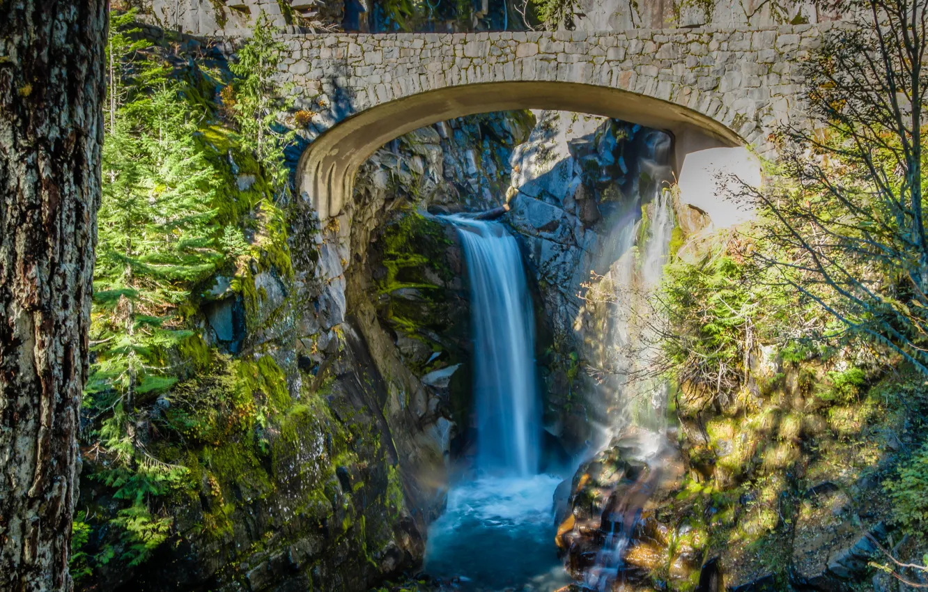 Photo wallpaper trees, bridge, stones, waterfall, stream, Washington, USA, the bushes