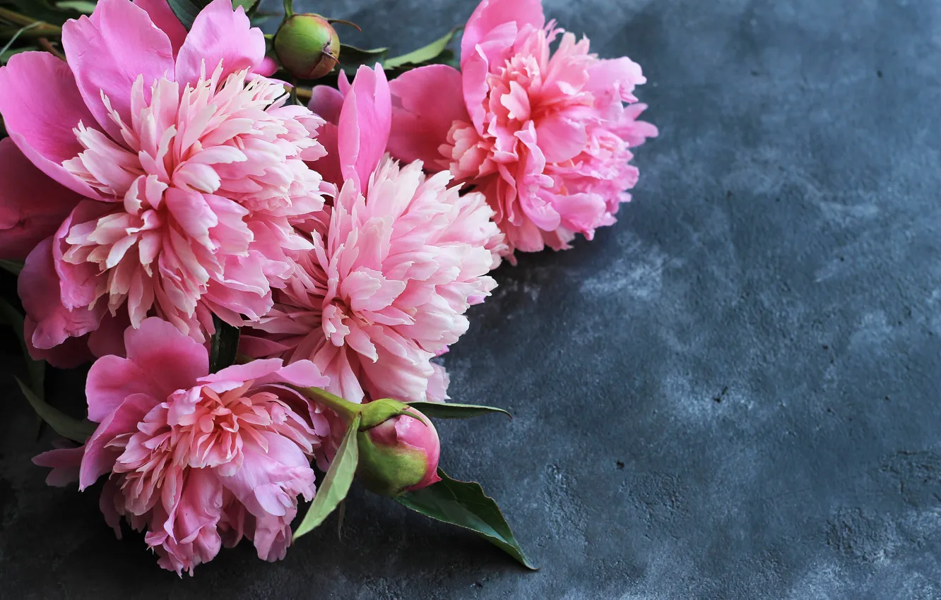 Photo wallpaper flowers, pink, wood, pink, flowers, peonies, peonies