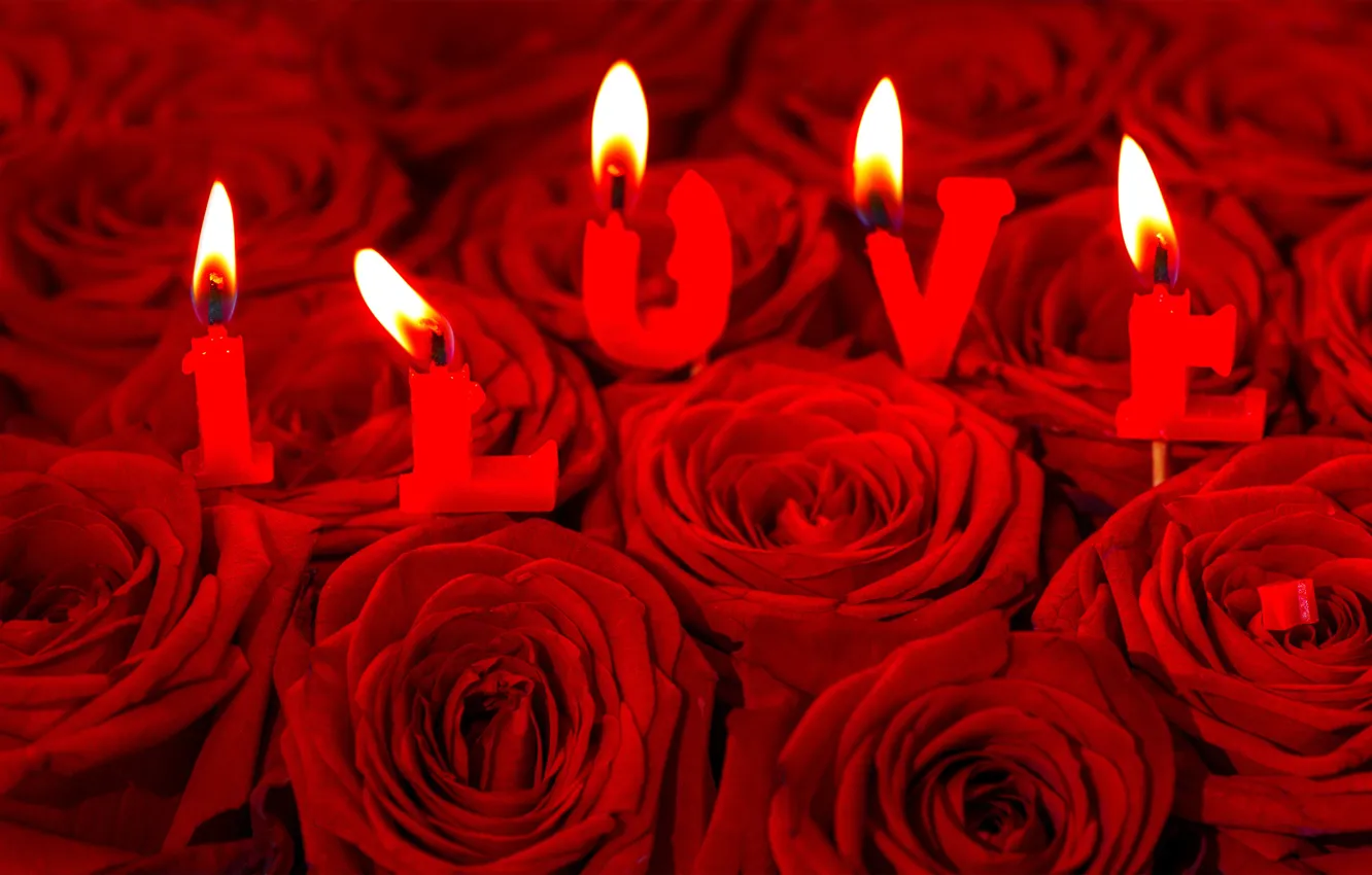 Photo wallpaper flowers, lights, letters, the inscription, roses, candles, red, Valentine's day