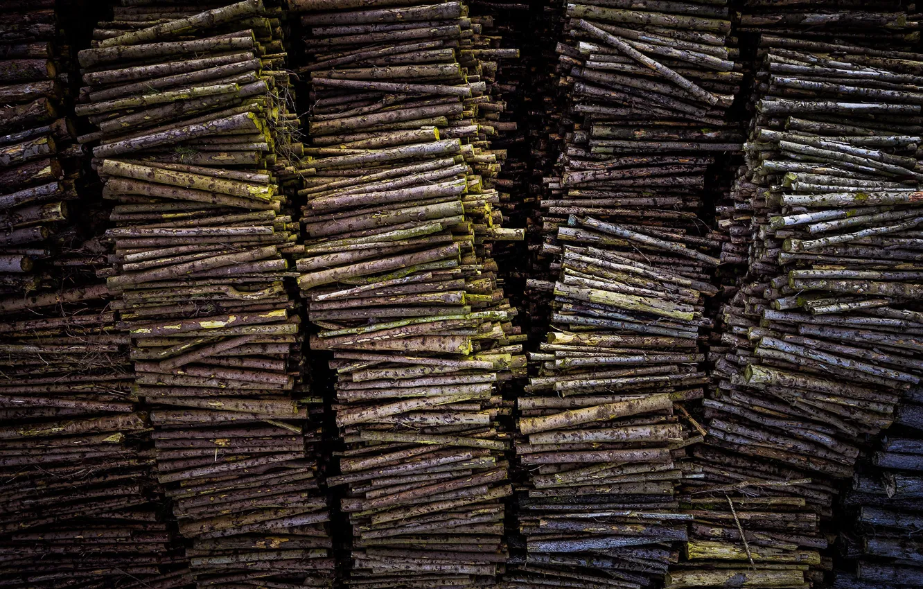 Photo wallpaper background, wood, log