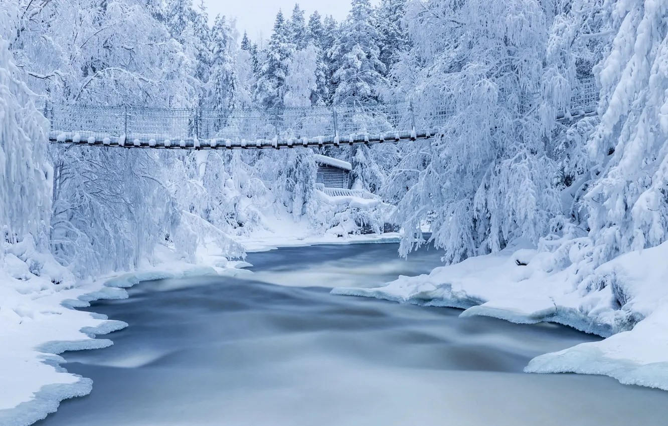 Photo wallpaper winter, snow, trees, landscape, nature, river, the bridge, forest