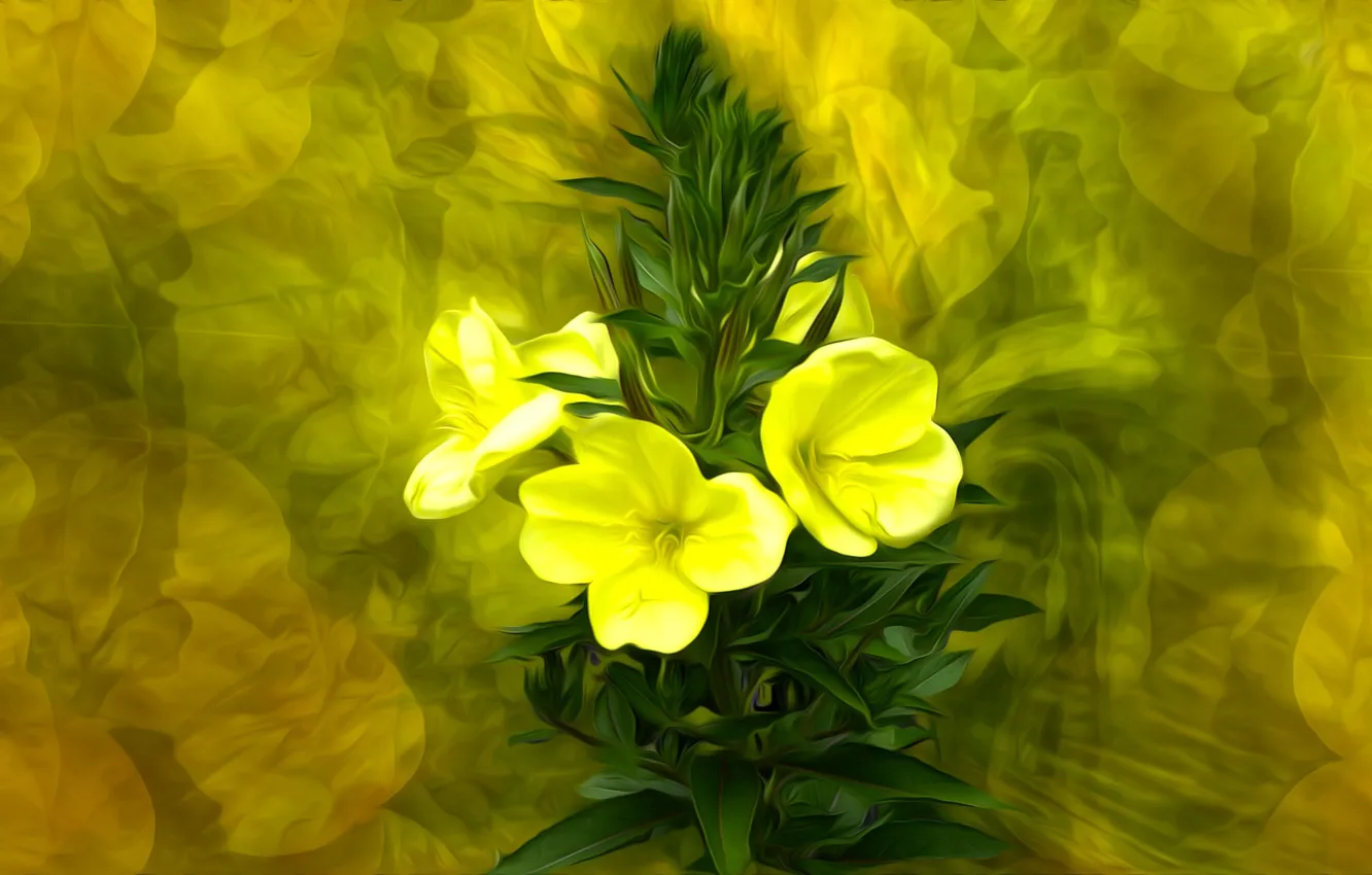 Photo wallpaper Graphics, Flowers, Amber