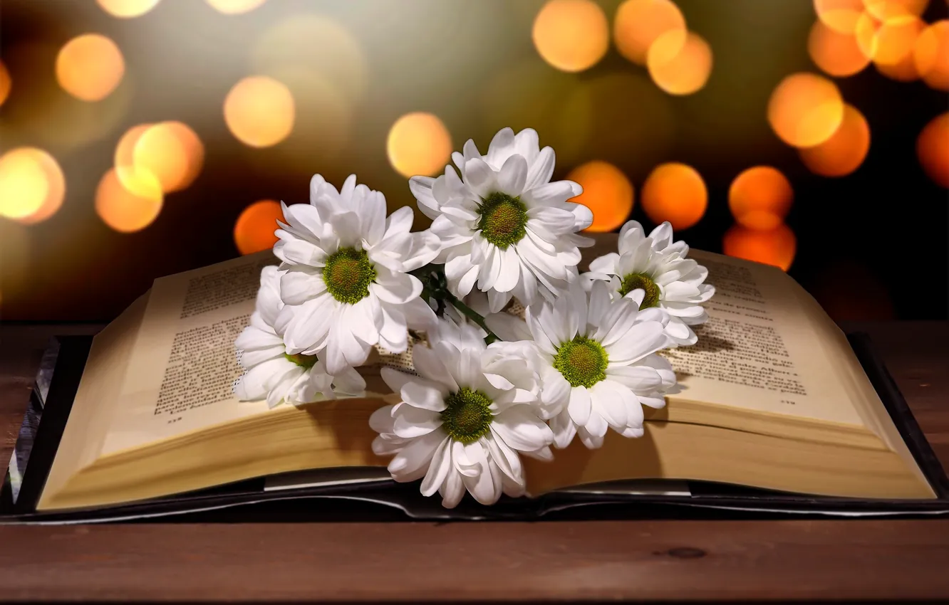 Photo wallpaper light, flowers, glare, table, chamomile, bouquet, book, white
