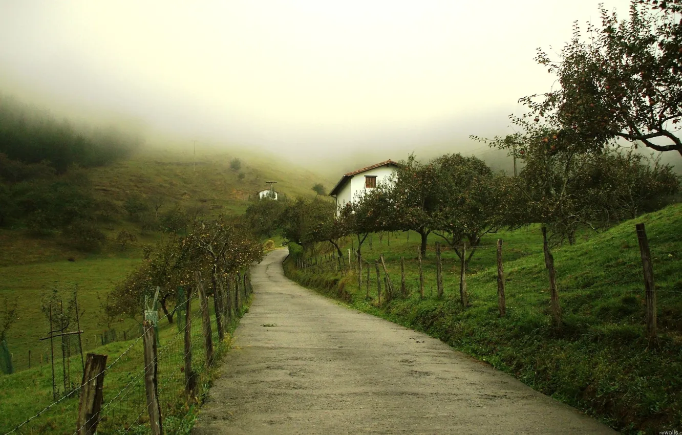 Photo wallpaper fog, morning, garden, the village