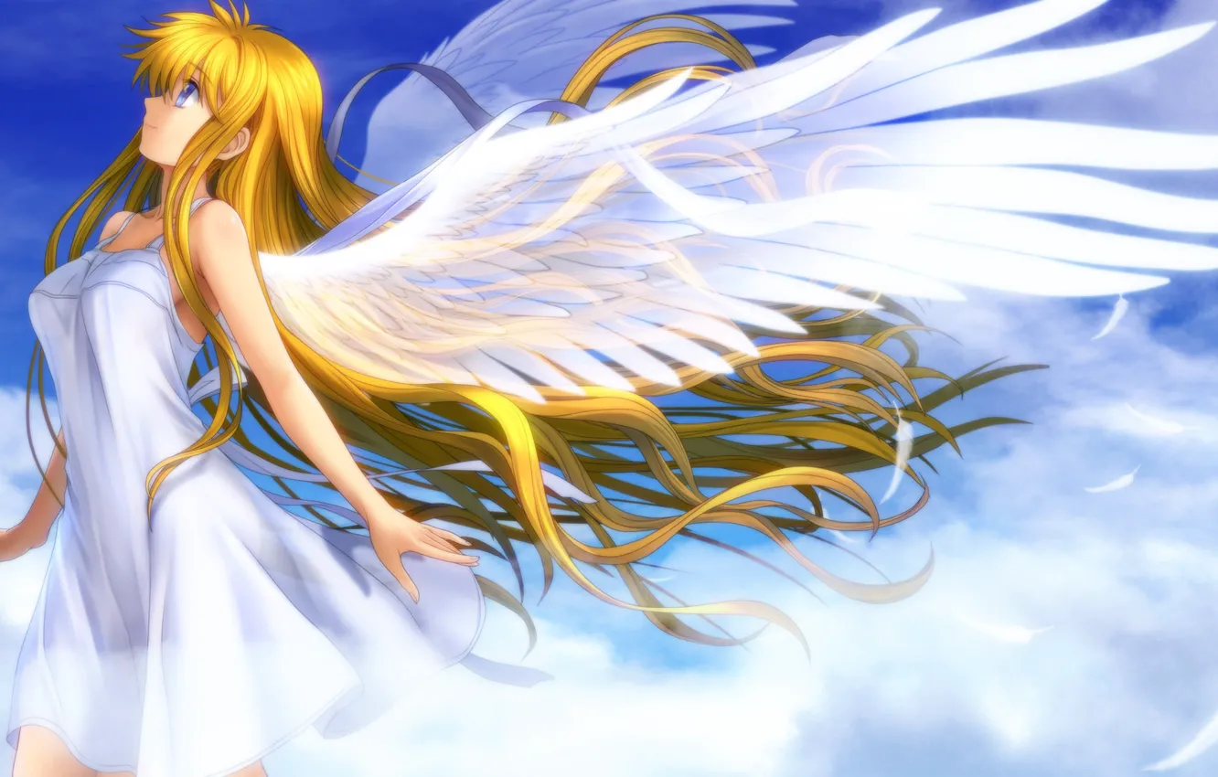 Photo wallpaper girl, wings, angel, feathers, art, profile, air, mutsuki