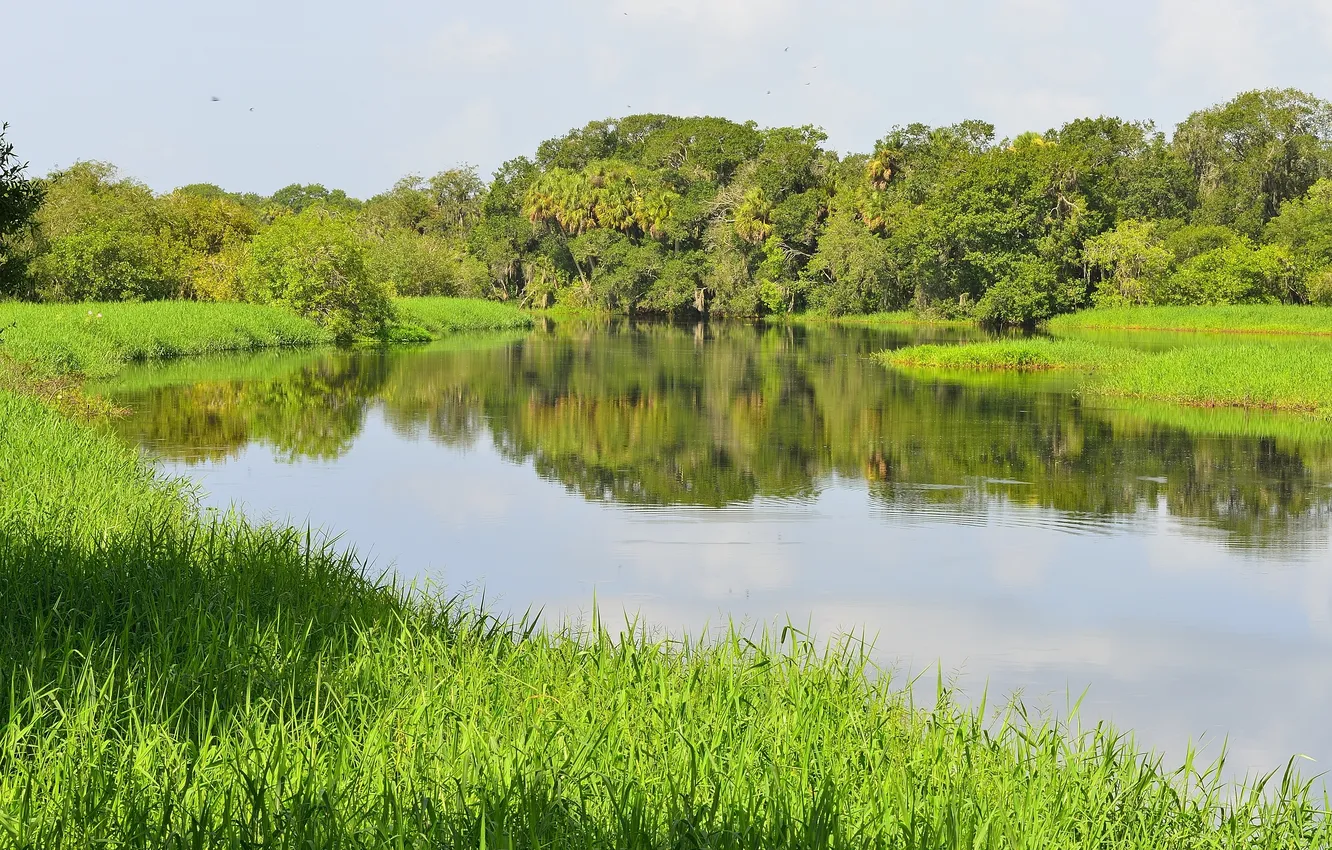 Photo wallpaper the sky, grass, trees, landscape, river