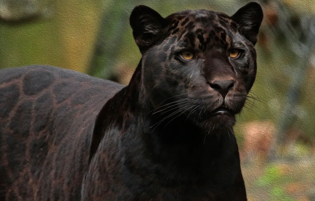 Photo wallpaper face, predator, Jaguar, wild