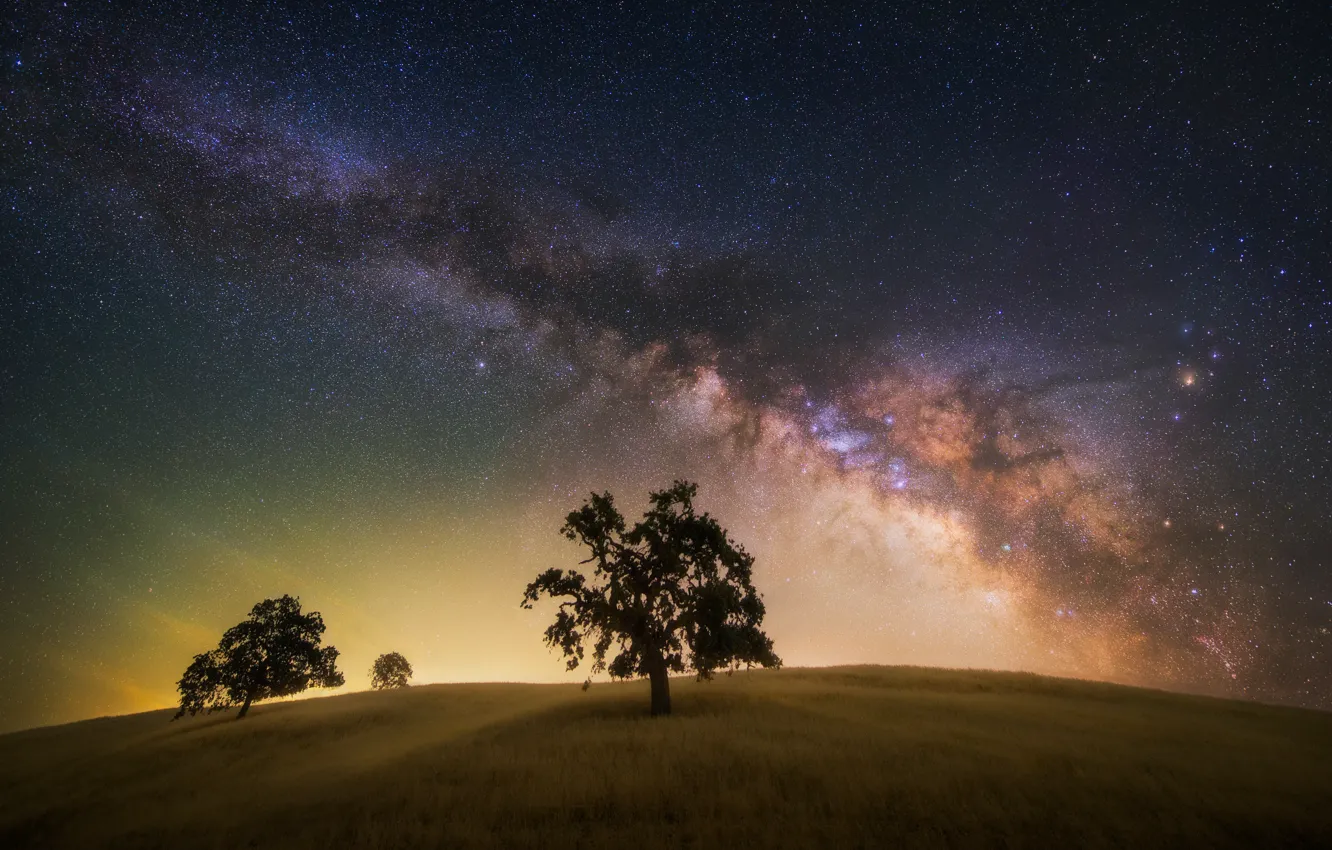 Photo wallpaper field, the sky, stars, trees, night, the milky way