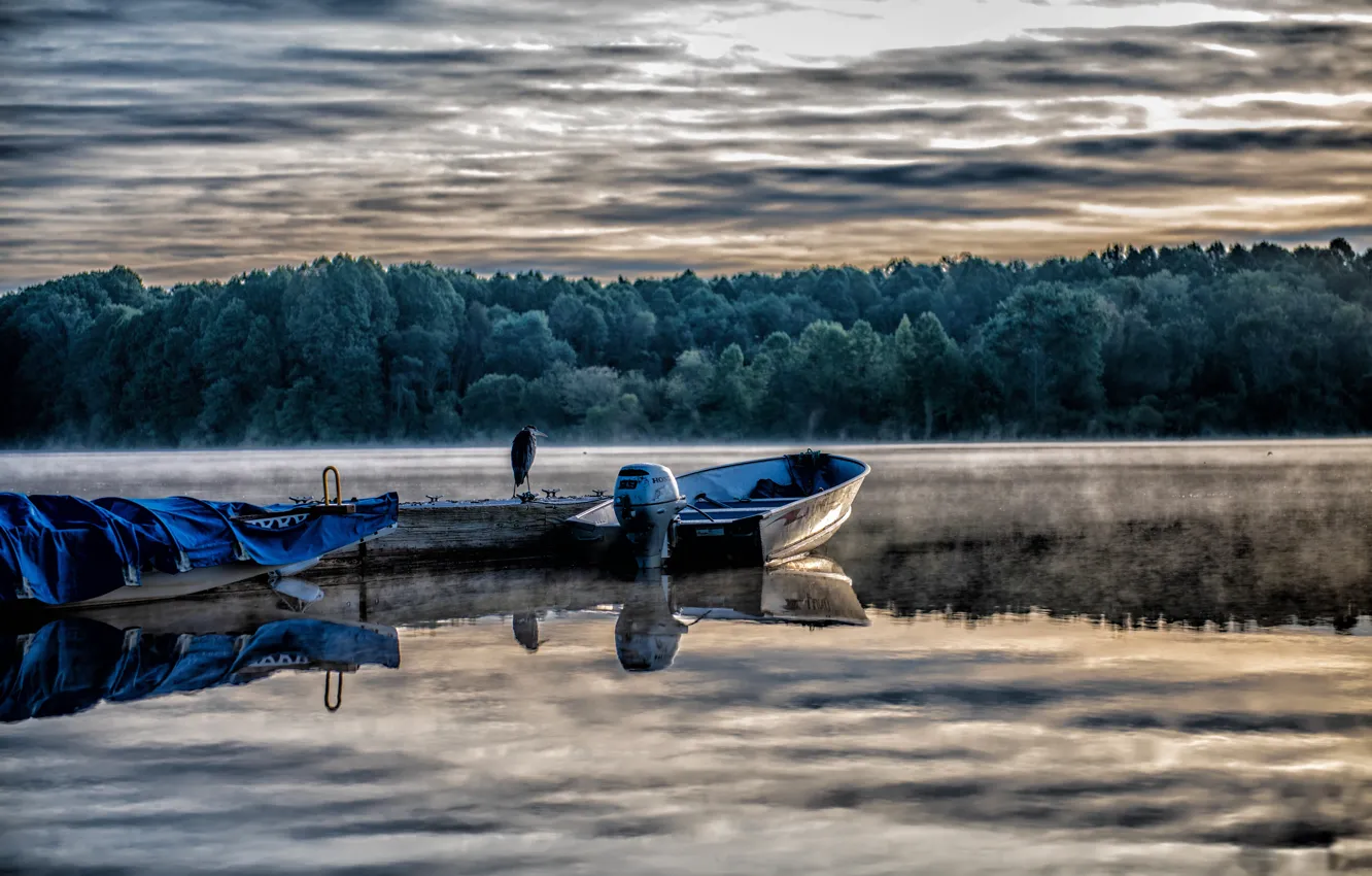 Photo wallpaper lake, bird, boat, the evening