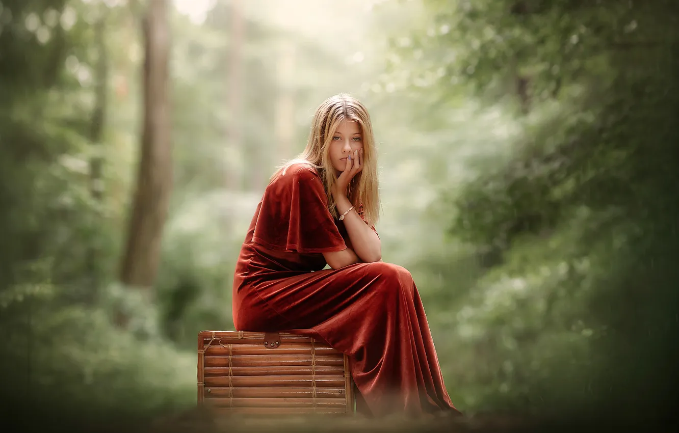 Photo wallpaper forest, pose, nature, sitting, lonely girl