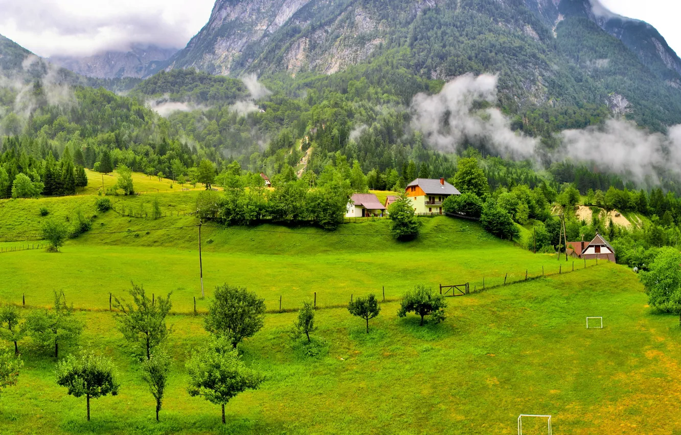Photo wallpaper forest, grass, clouds, trees, mountains, home, Slovenia, Slovenia