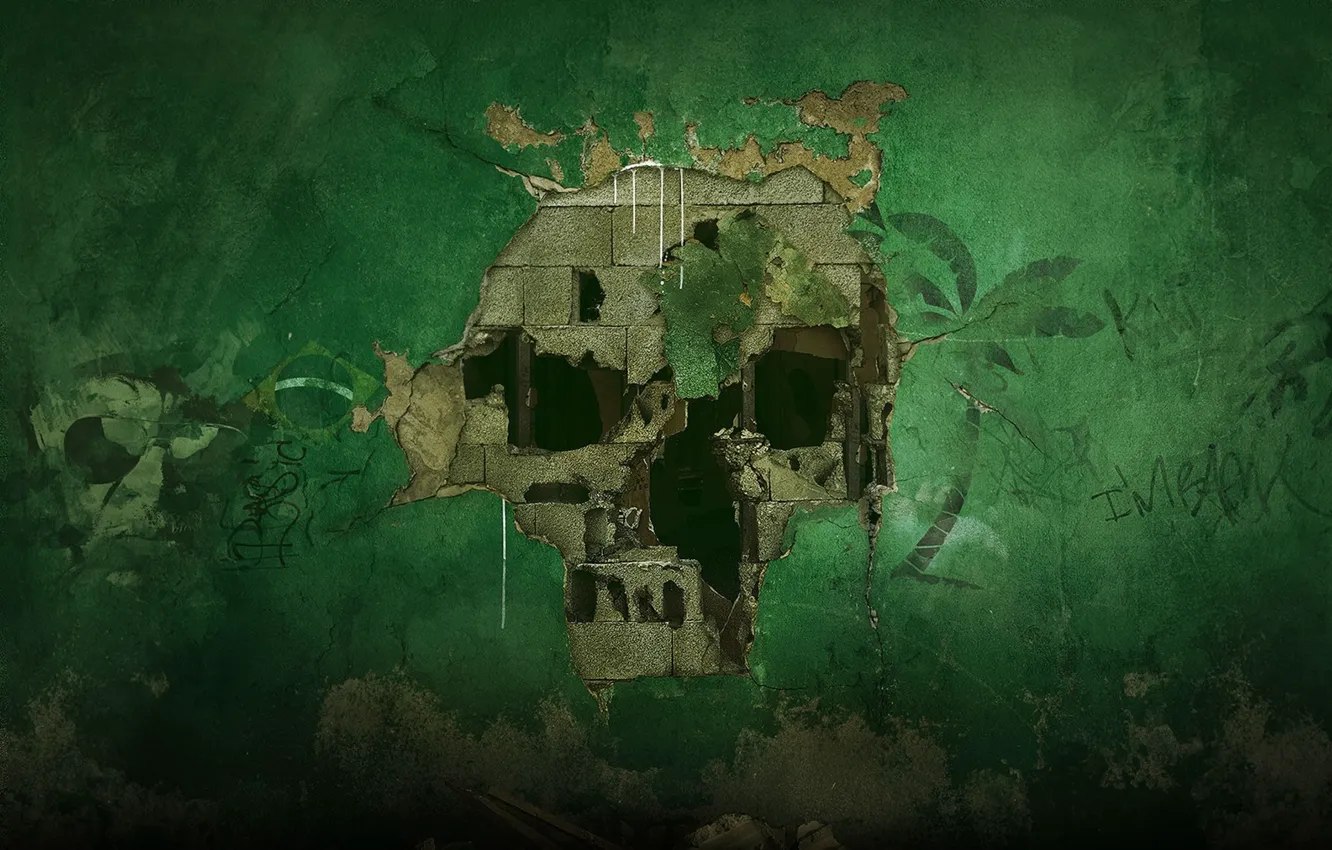 Photo wallpaper game, flag, Brazil, Tom Clancy's, Rainbow Six Siege, Rainbow Six Siege: Operation Skull Rain, Tom …