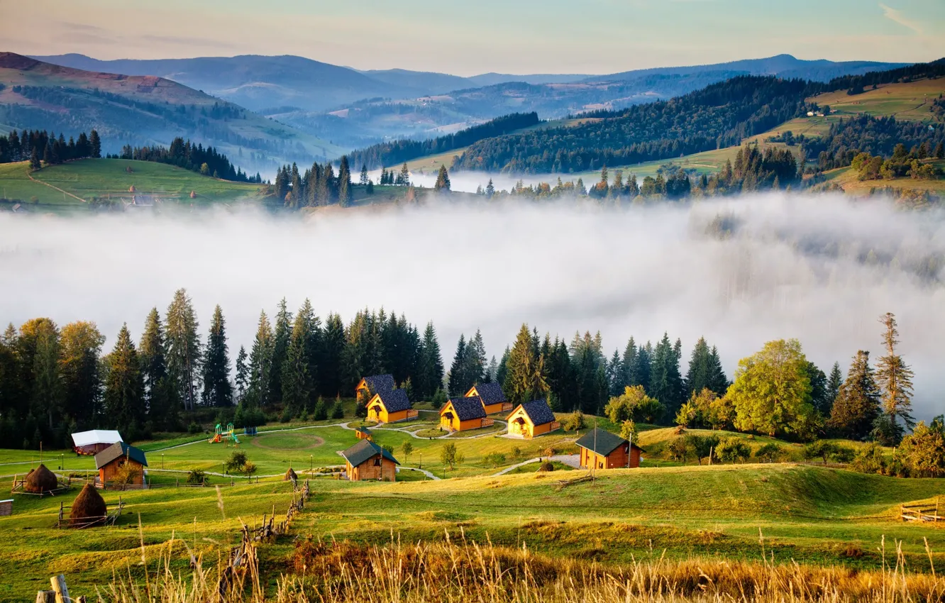 Photo wallpaper forest, trees, mountains, fog, house, Ukraine, Carpathians
