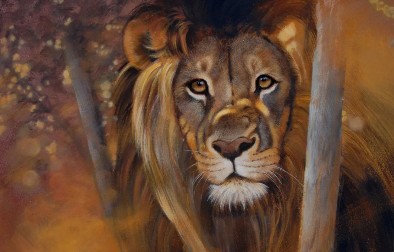 Photo wallpaper eyes, lion, look, pollyanna pickering paintings