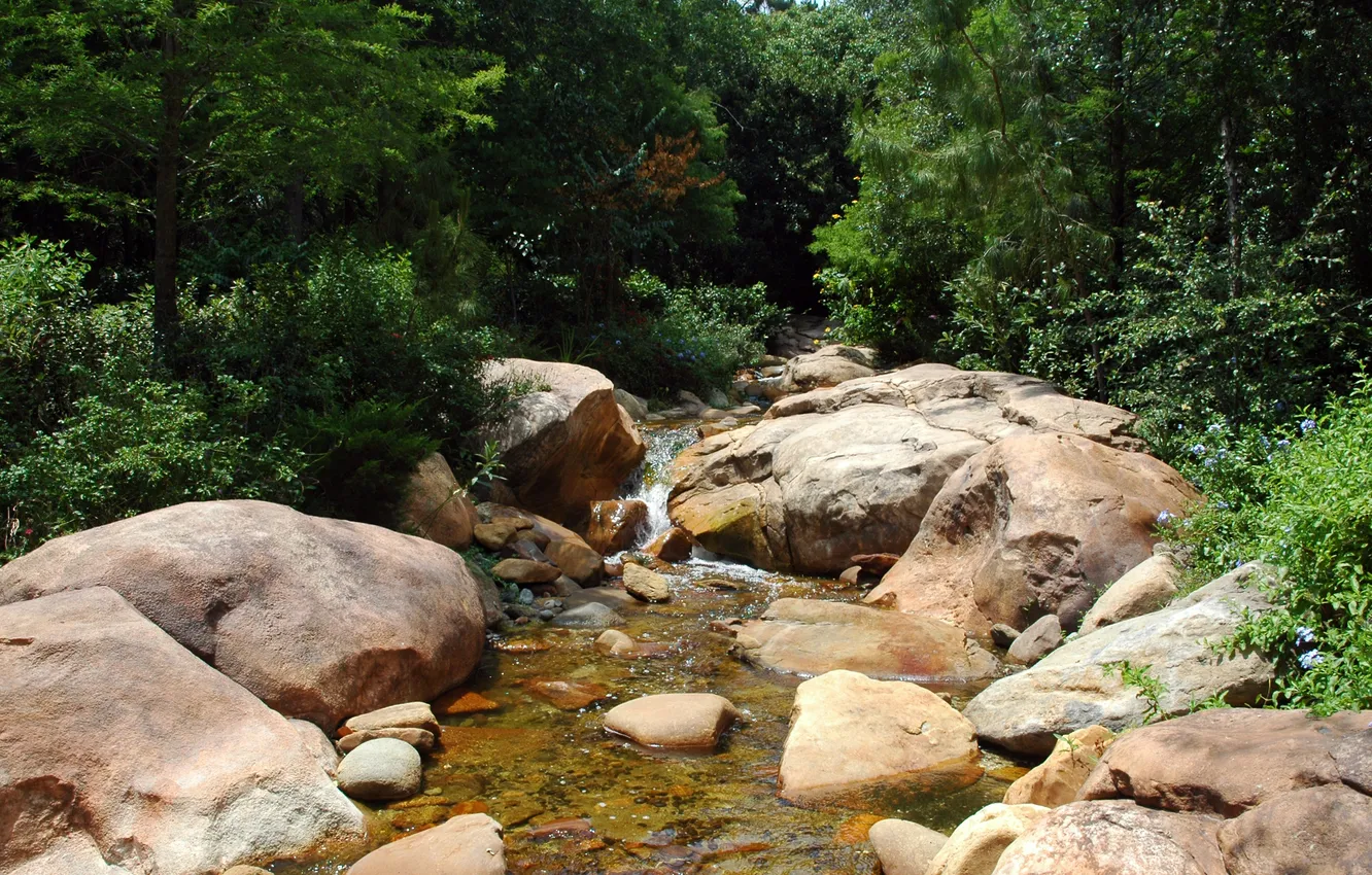 Photo wallpaper nature, stream, stones