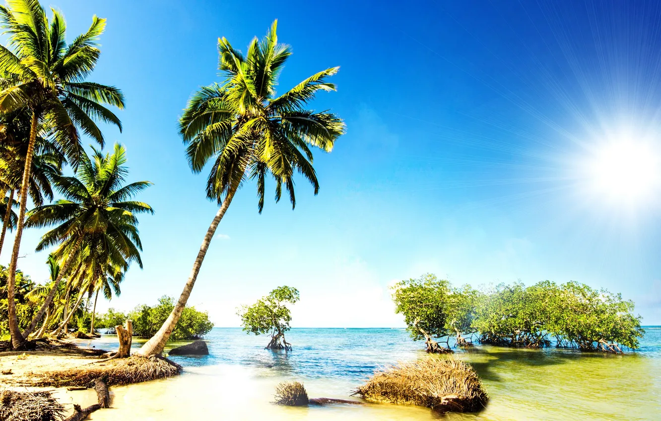 Photo wallpaper sand, sea, beach, tropics, palm trees, shore, summer, sunshine